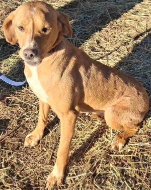 Suzy sucht liebevolle Menschen Bild 2