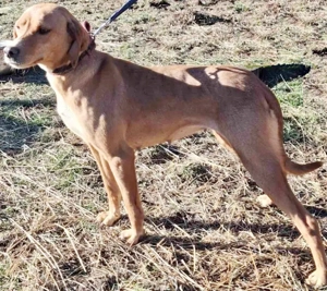 Suzy sucht liebevolle Menschen Bild 5