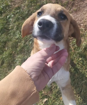 Okrugla wartet auf IHR Zuhause Bild 5