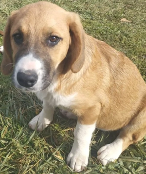 Okrugla wartet auf IHR Zuhause Bild 2