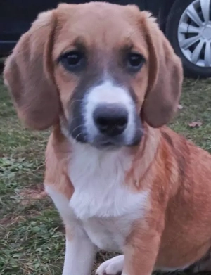 Okrugla wartet auf IHR Zuhause Bild 4