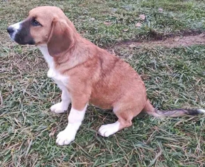 Okrugla wartet auf IHR Zuhause Bild 3