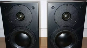 Dynaudio Audience 42 Hervorragender Lautsprecher Bild 3