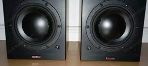 Dynaudio Audience 42 Hervorragender Lautsprecher Bild 9