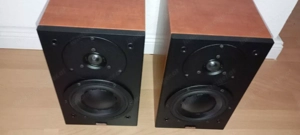 Dynaudio Audience 42 Hervorragender Lautsprecher Bild 4