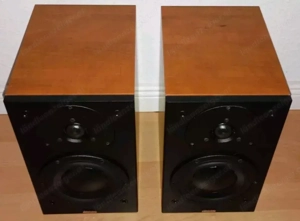 Dynaudio Audience 42 Hervorragender Lautsprecher Bild 5