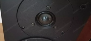 Dynaudio Audience 42 Hervorragender Lautsprecher Bild 8