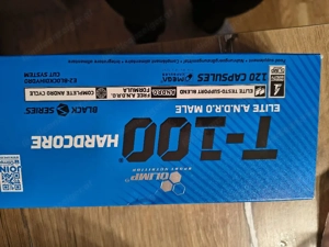 T-100  Hardcore Bild 2