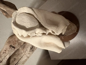 Engel Kunsthandwerk Handarbeit  Bild 2