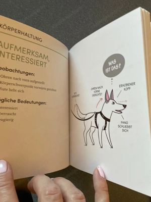 Buch: Das kleine Buch der Hundesprache Bild 4