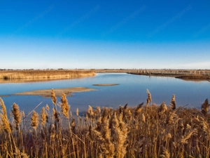 Baugrund beim Schloss-Neusiedlersee  Ungarn-Burgenland Bild 9