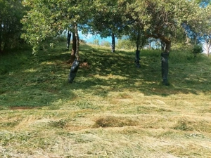 Motormäher Köppl Compact Comfort 10 Bild 4