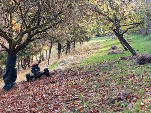 Motormäher Köppl Compact Comfort 10 Bild 8