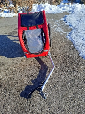 Kiki für kleine Hunde Bild 4