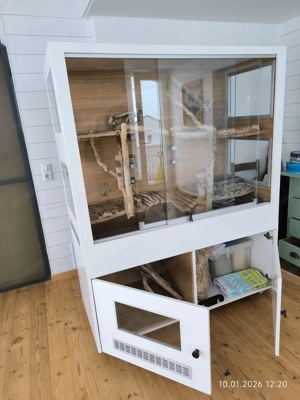 Nagerkäfig massiv mit Scheiben Bild 4