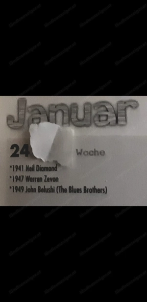 DianaRoss50thSupremesAZ AbbaZappa Uvm. Bild 10