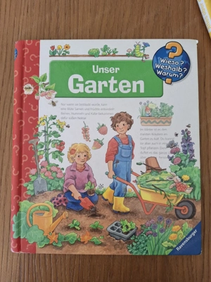 wieso, weshalb, warum Bild 4