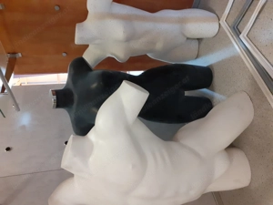 Schaufensterpuppen Torso 10 Stk. Bild 2