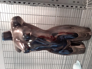 Schaufensterpuppen Torso 10 Stk. Bild 4