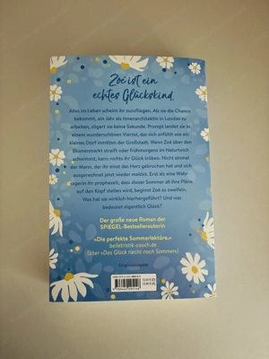 Buch: Am Himmel funkelt ein neuer Tag, Roman Bild 2