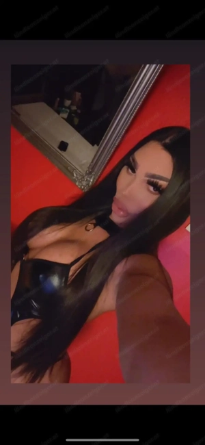 Ts katty sexy ts  Bild 4