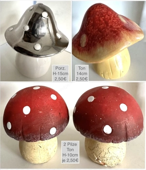 Geweih 10 Ender Reh Hirsch Pilze ab 1,50 Bild 3