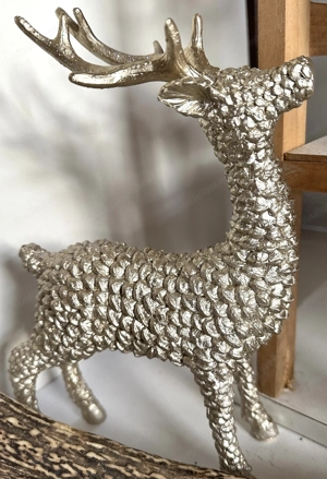 Geweih 10 Ender Reh Hirsch Pilze ab 1,50 Bild 8