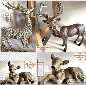 Geweih 10 Ender Reh Hirsch Pilze ab 1,50 Bild 2