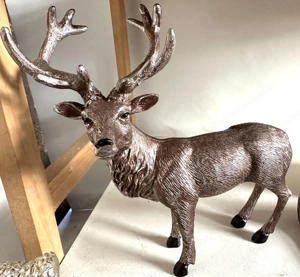 Geweih 10 Ender Reh Hirsch Pilze ab 1,50 Bild 9