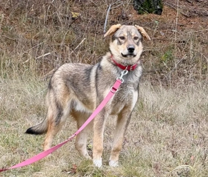 Sossy sucht kuscheliges Plätzchen bei IHNEN Bild 5
