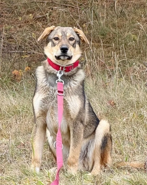Sossy sucht kuscheliges Plätzchen bei IHNEN Bild 2