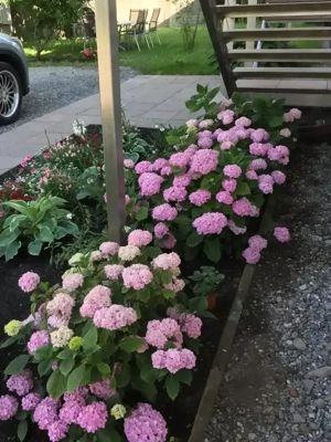 Singlewohnung Nüziders Bild 7