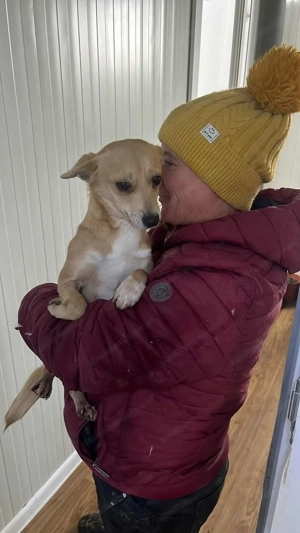 Tula - eine zarte Seele auf der Suche nach Geborgenheit Bild 2