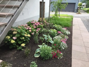 Singlewohnung Nüziders Bild 9