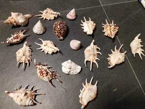 Steine Konvolut Flohmarkt  Bild 2