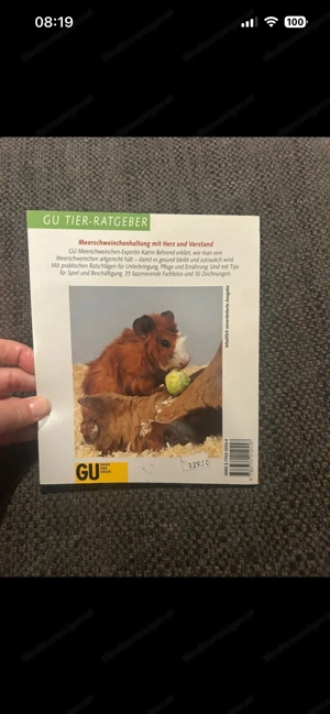 Meerschweinchen, 2 Ratgeber Bild 3