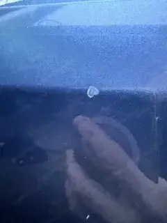 Renault Kangoo Bild 7