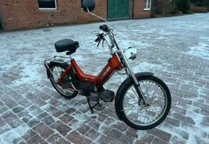Puch Maxi N Bild 2