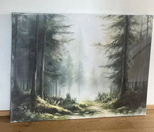 Leinwandbild Druck: Wald im Morgenlicht Bild 2