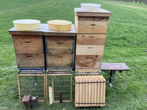 Bienen Beuten Zander Bild 2