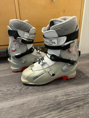 Tourenskischuhe Scarpa gr. 38