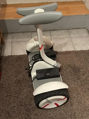 Ninebot E-Scooter Segway Bild 2