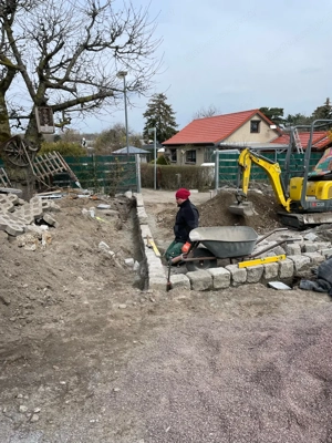 Baumarbeiten jeglicher Art Rückschnitte Fällung Sturmschaden Heckenschnitte rodung  Bild 5