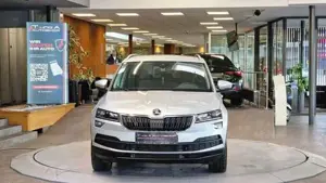 Skoda Karoq Bild 2
