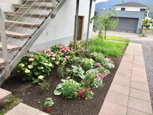 Singlewohnung in Nüziders Bild 7