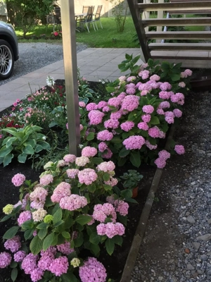 Singlewohnung in Nüziders Bild 8