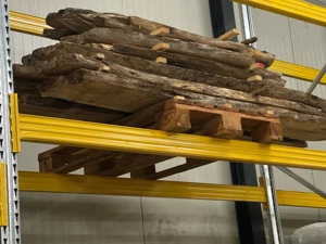 Bodensee Schwemmholz 5 Jahre in Halle getrocknet. Längen 200 cm und 120 cm Bild 5