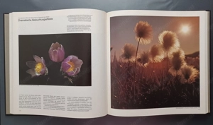 Life   Die Photographie (1982)   Komplettes 12 Bände Set Bild 2