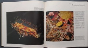 Life   Die Photographie (1982)   Komplettes 12 Bände Set Bild 3