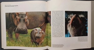 Life   Die Photographie (1982)   Komplettes 12 Bände Set Bild 4